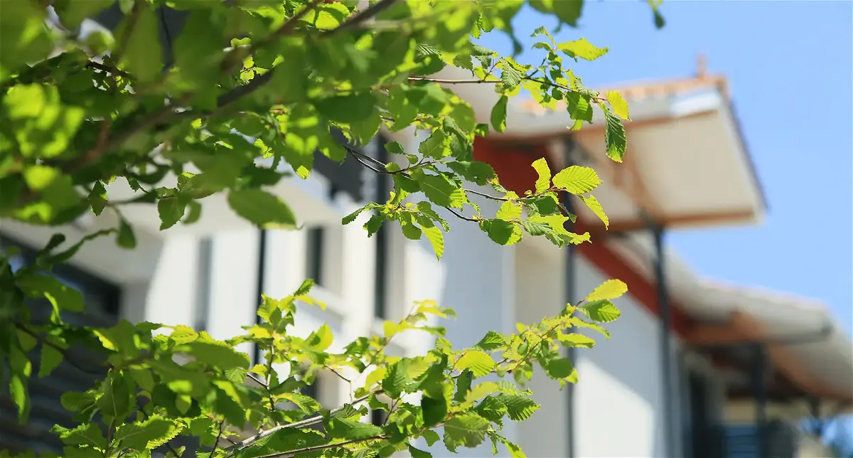 Biens neufs à Mérignac