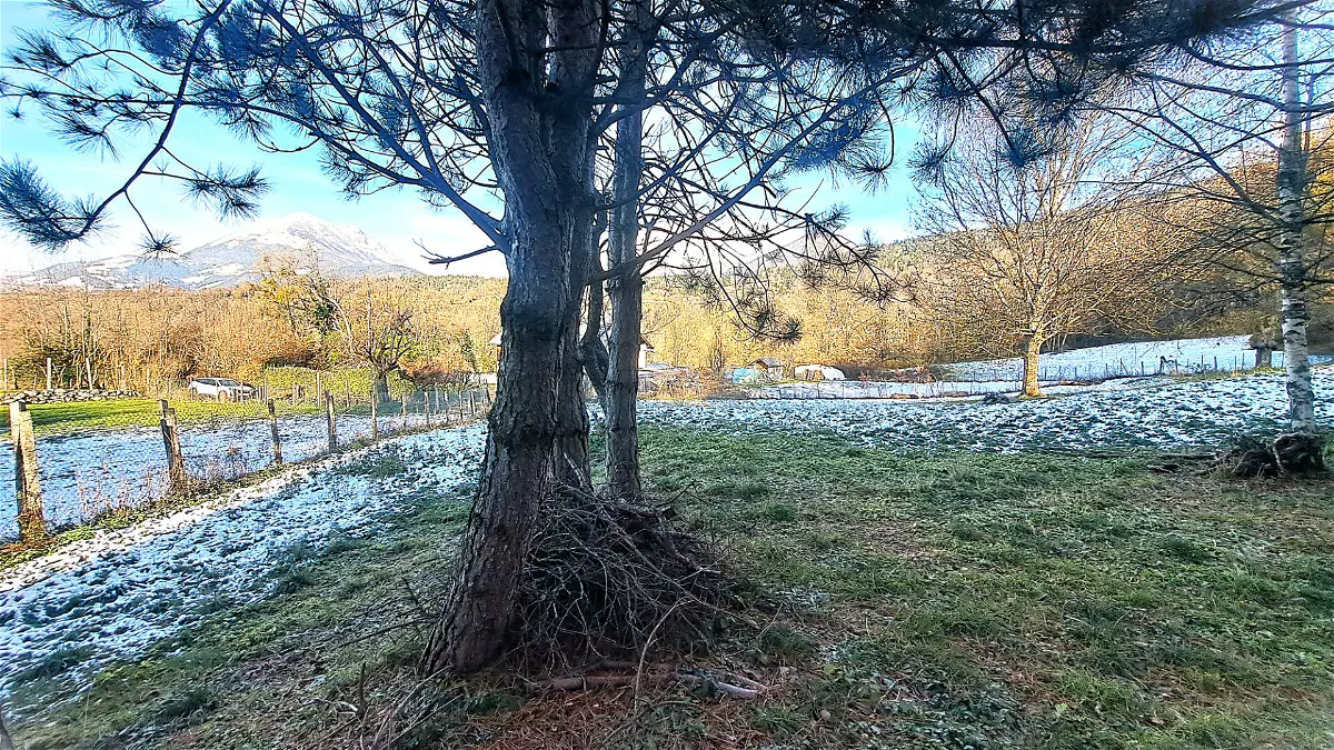 Achat terrainà SAINT LAURENT EN BEAUMONT