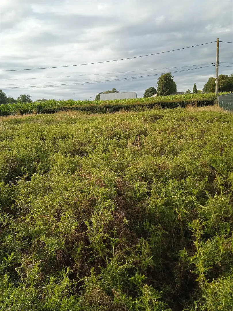 Achat terrainà OFFRANVILLE