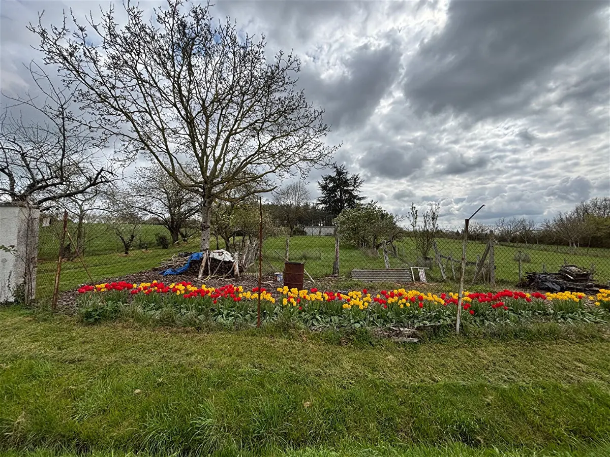 Achat terrainà SENILLE