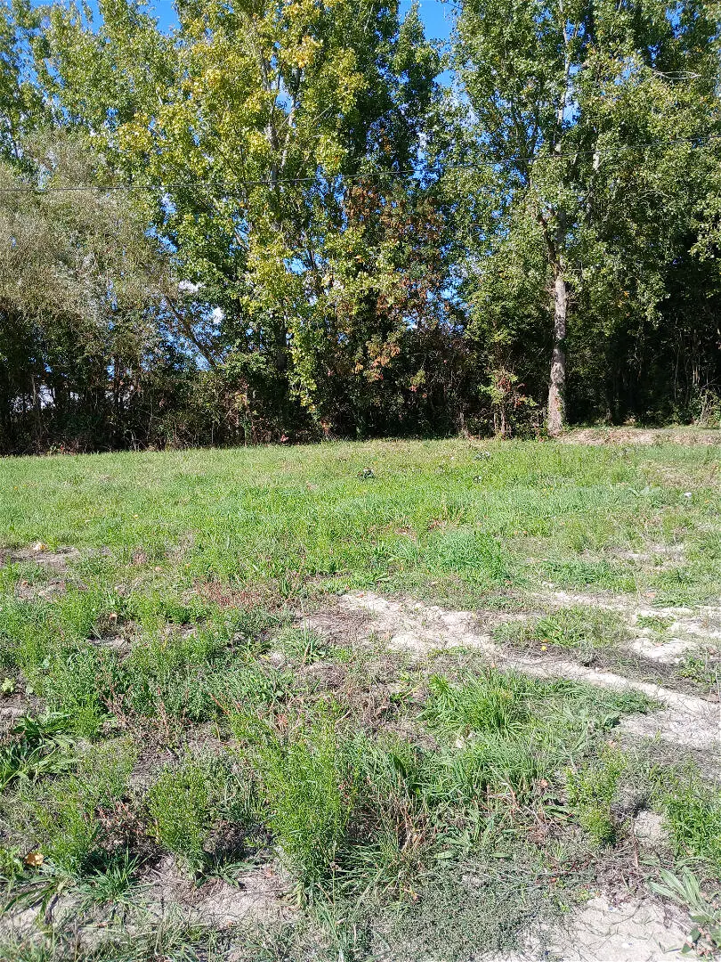 Achat terrainà SAINT JEAN DE MONTS