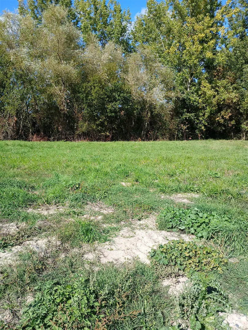 Achat terrainà SAINT JEAN DE MONTS