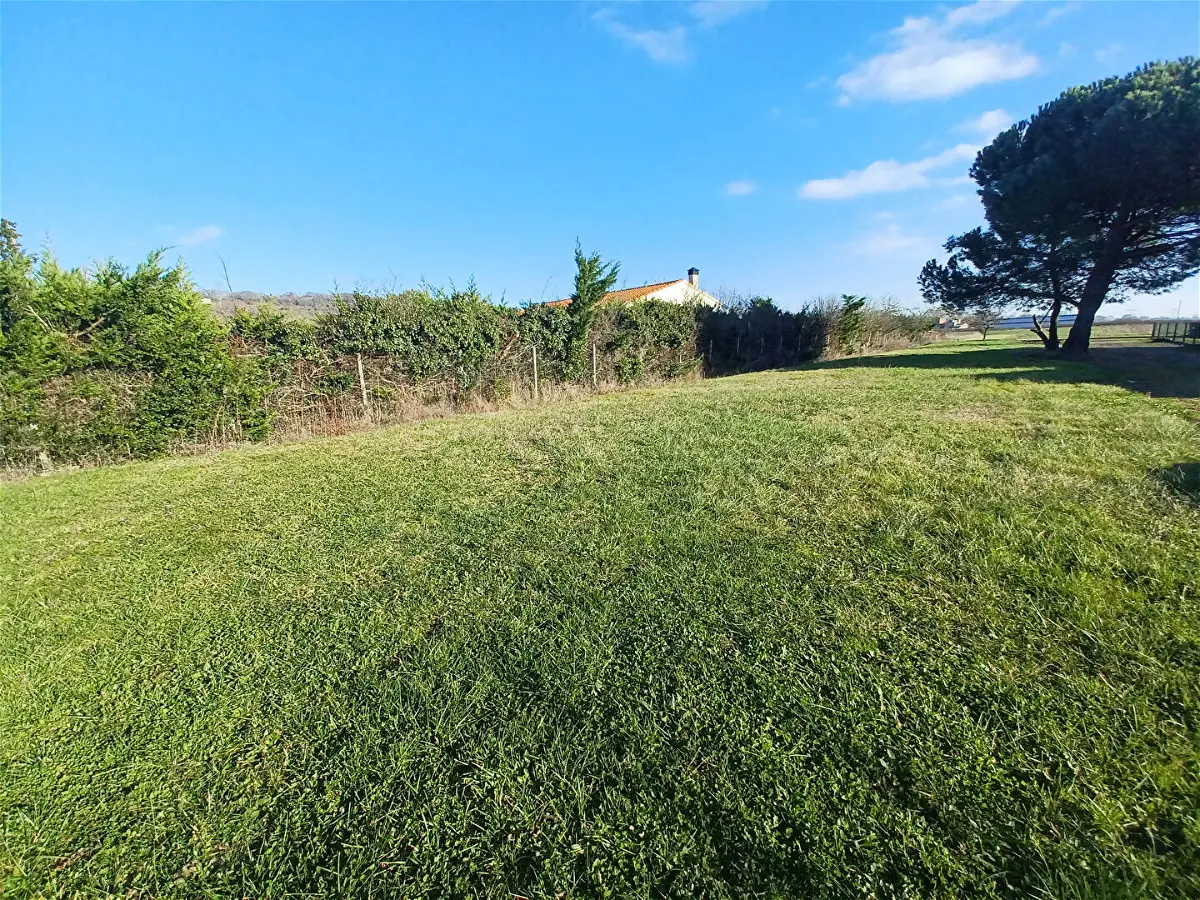 Achat terrainà SAINT RUSTICE