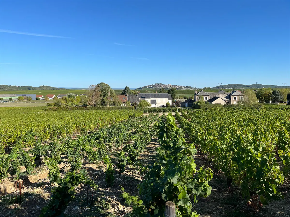 Achat maisonà VERDIGNY