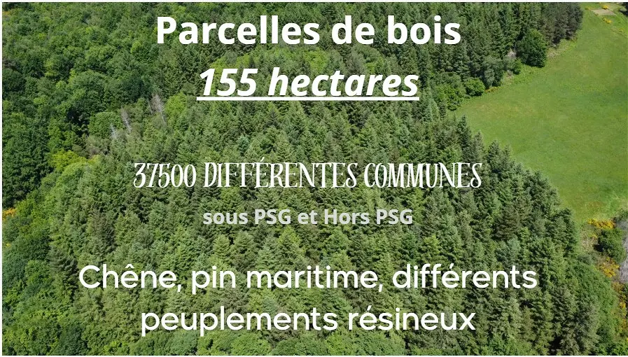 Achat terrainà CHINON