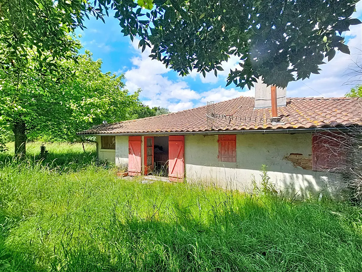 Achat maisonà SANGUINET