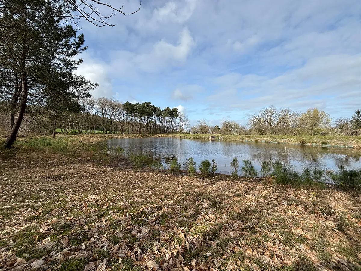 Achat terrainà ORCHES