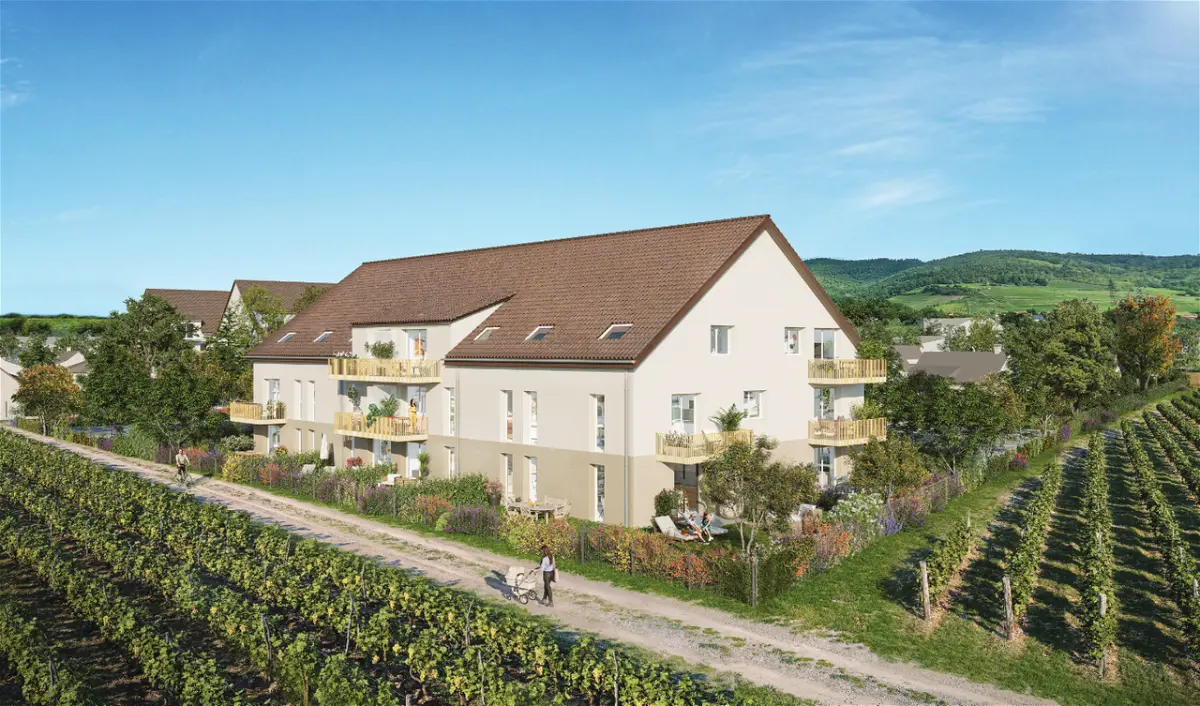 Biens neufs à Wintzenheim