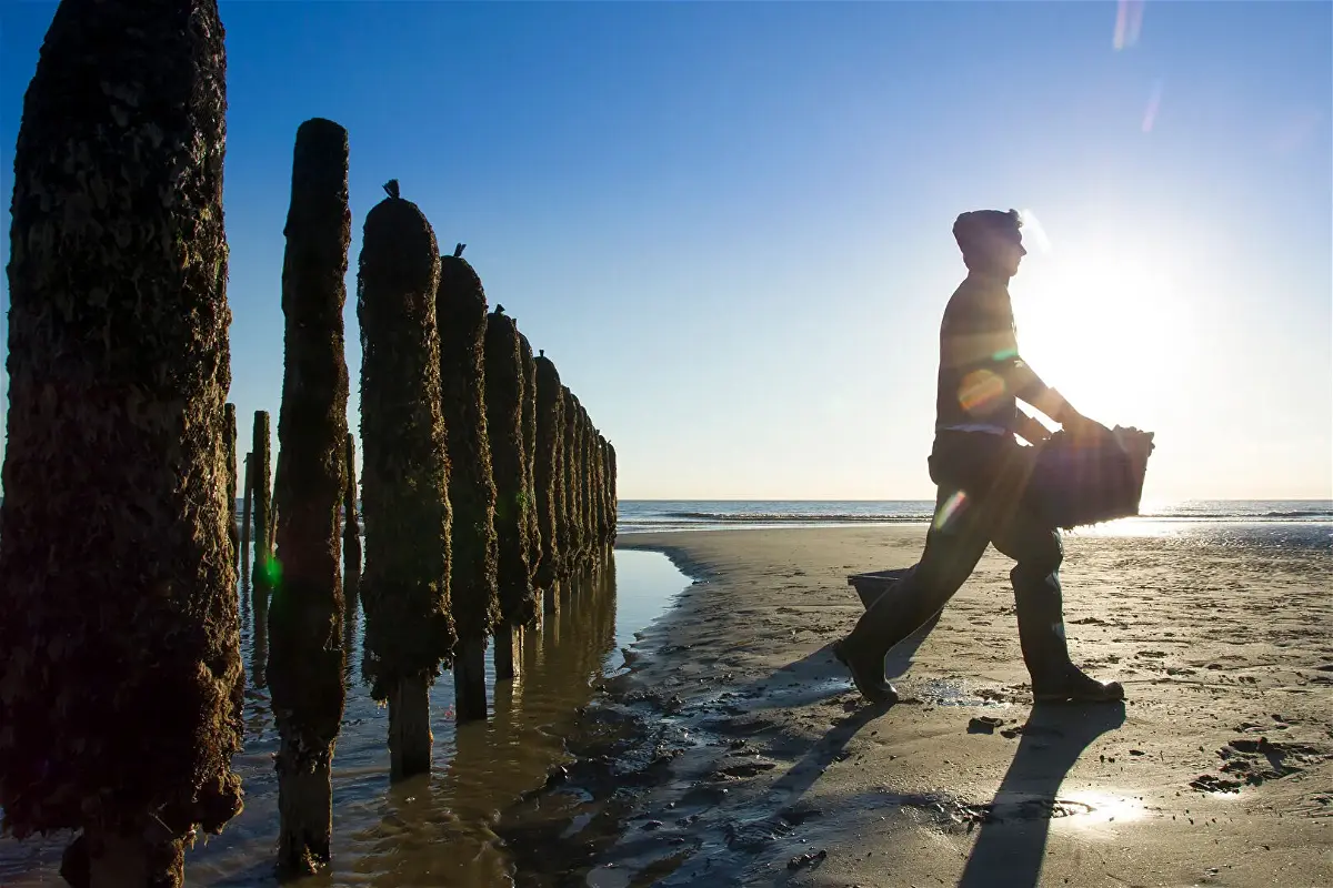 Achat terrainà QUEND