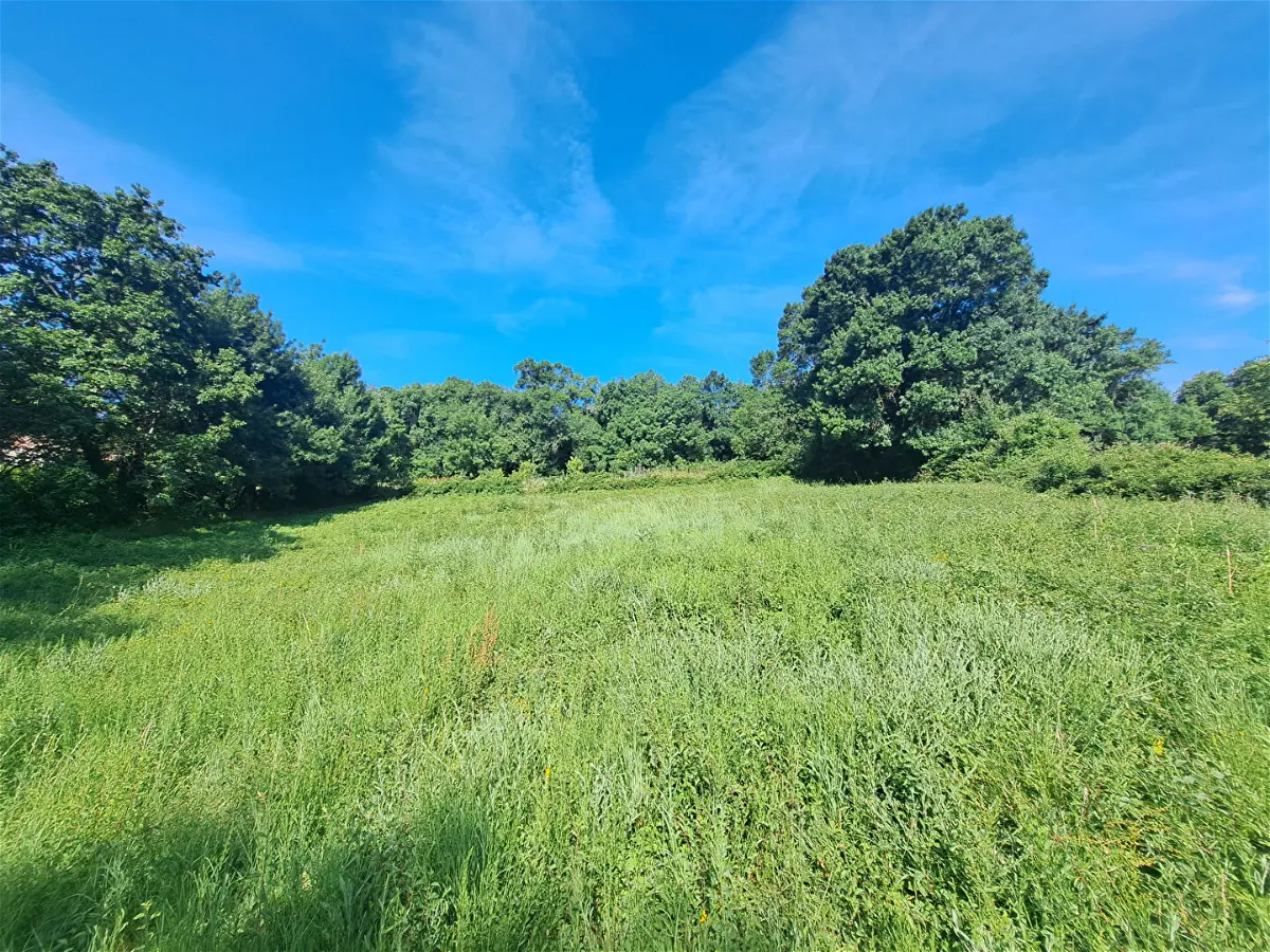 Achat terrainà ROCHESSAUVE