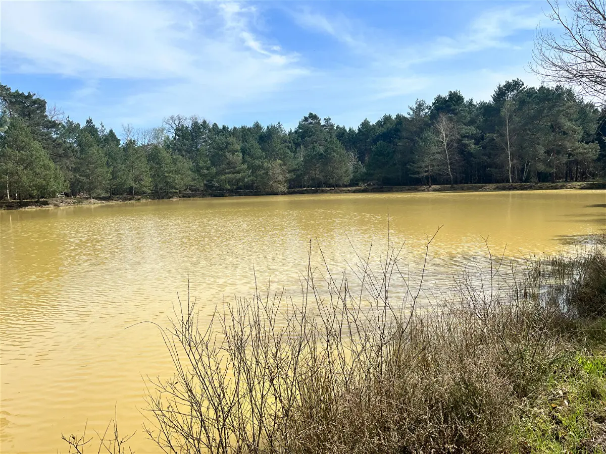 Achat maisonà VIENNE EN VAL