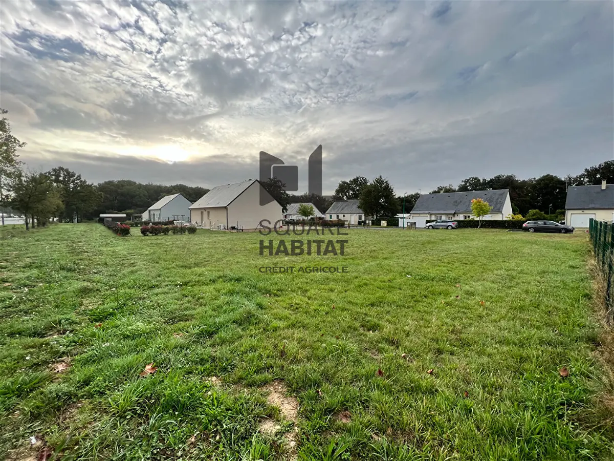 Achat terrainà CHATEAU LA VALLIERE