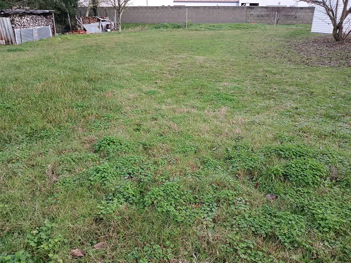 Achat terrainà SAINT JEAN DE MONTS