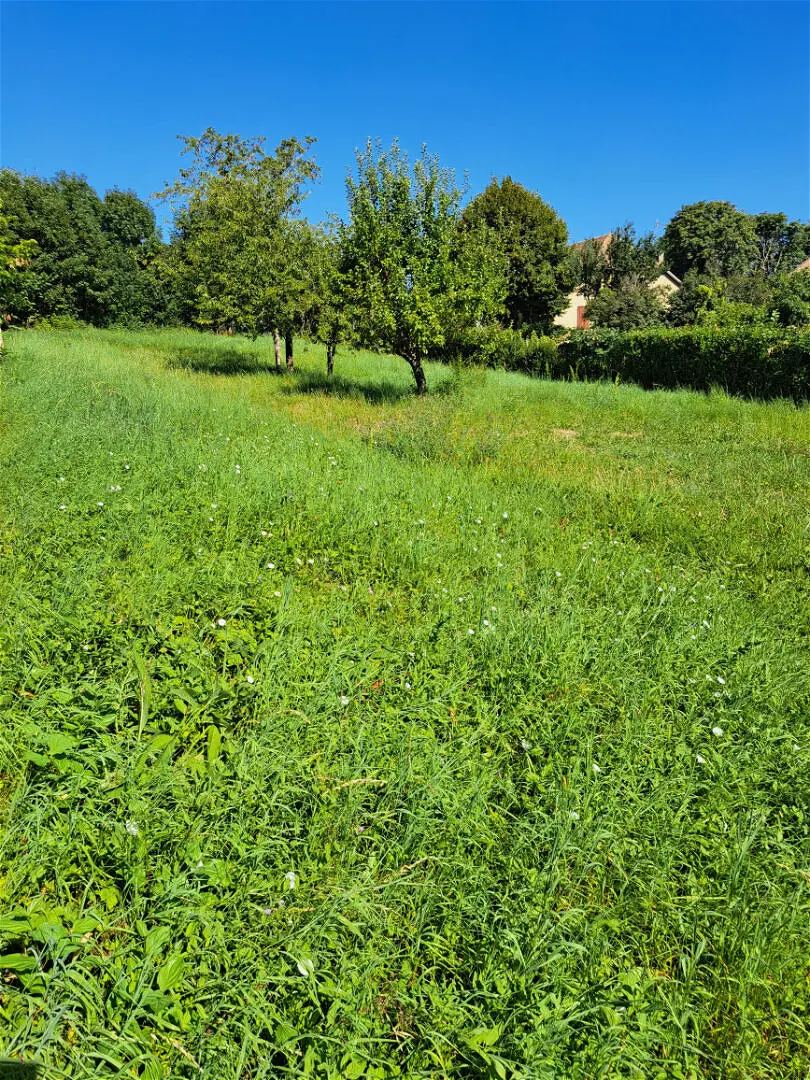 Achat terrainà cordeac