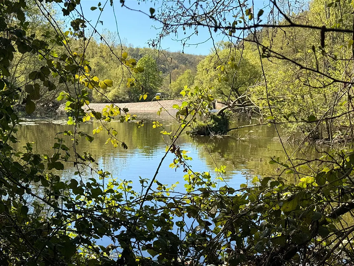 Achat terrainà THOUARS