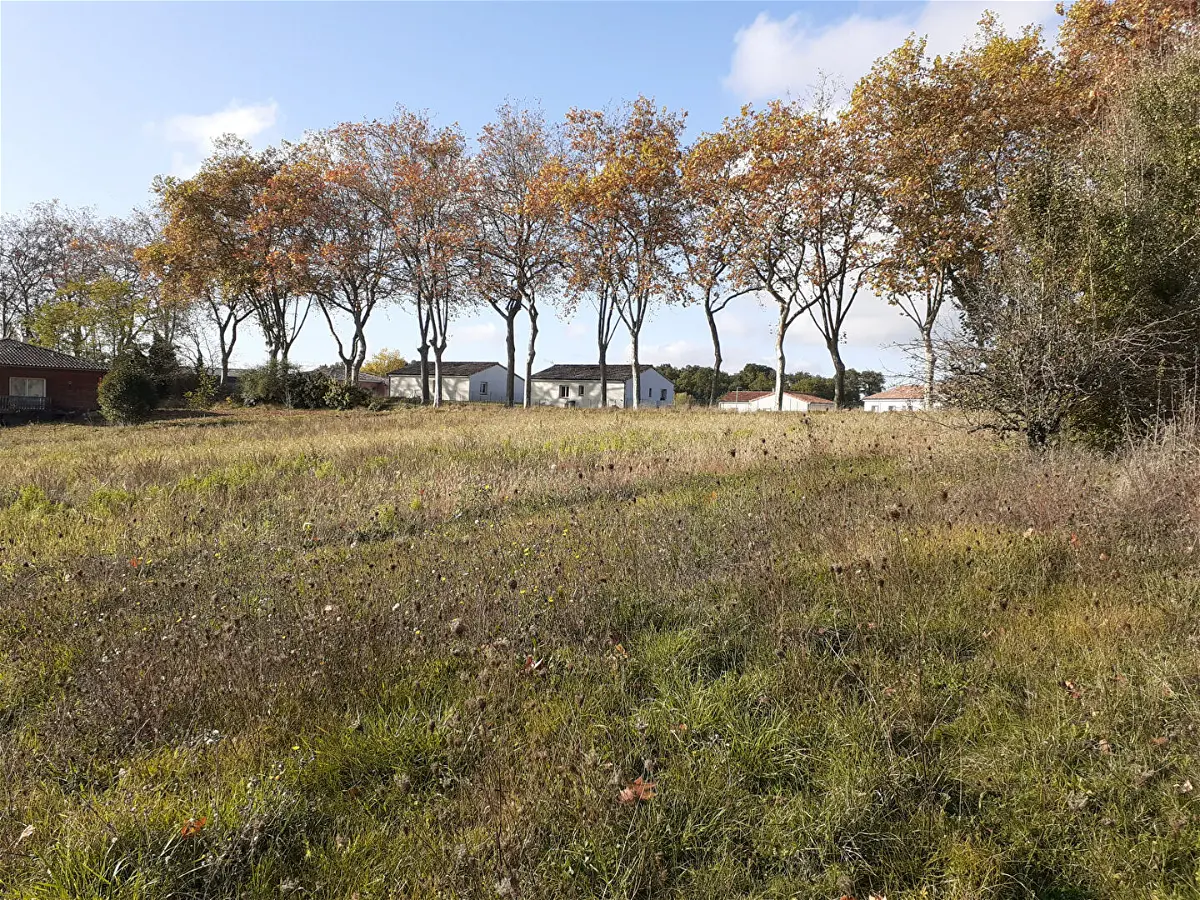 Achat terrainà CADOURS