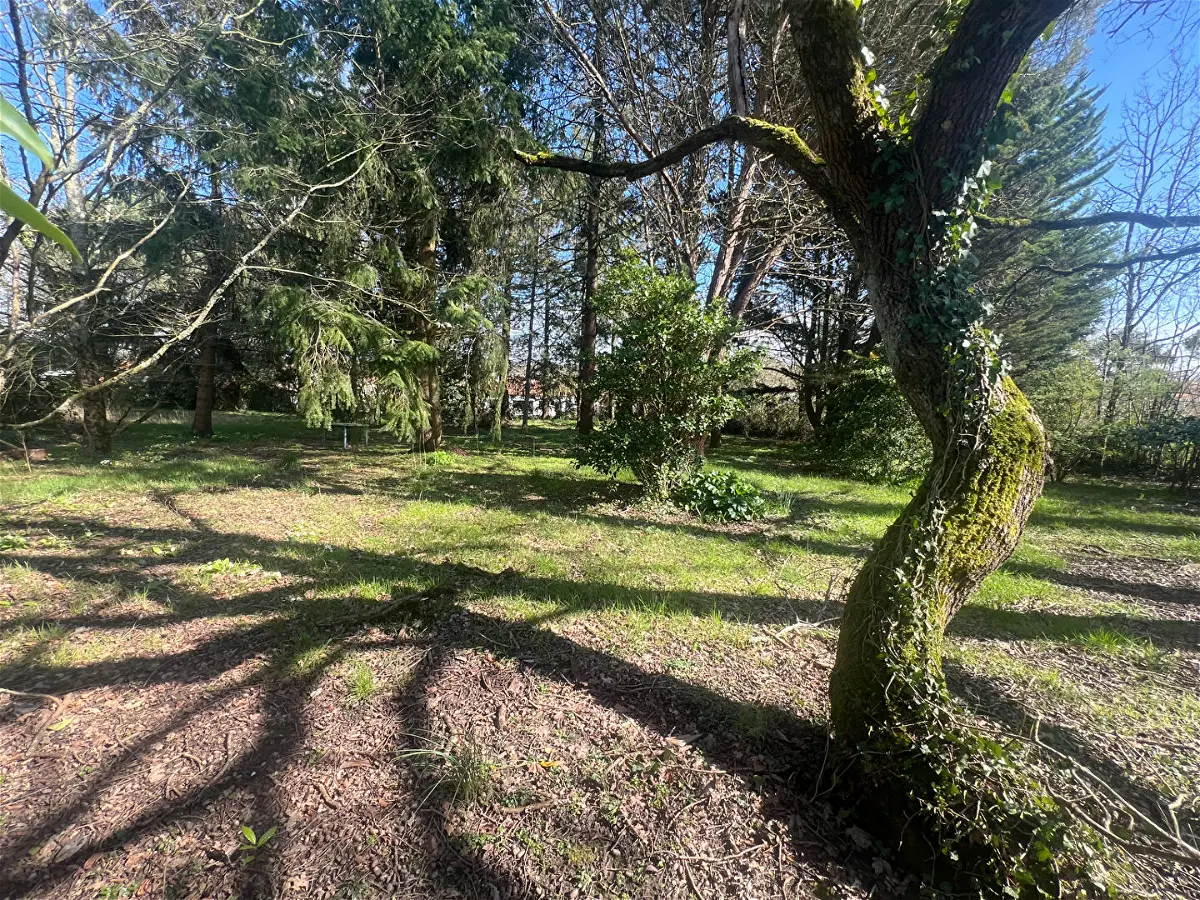 Achat terrainà AUBIGNY LES CLOUZEAUX