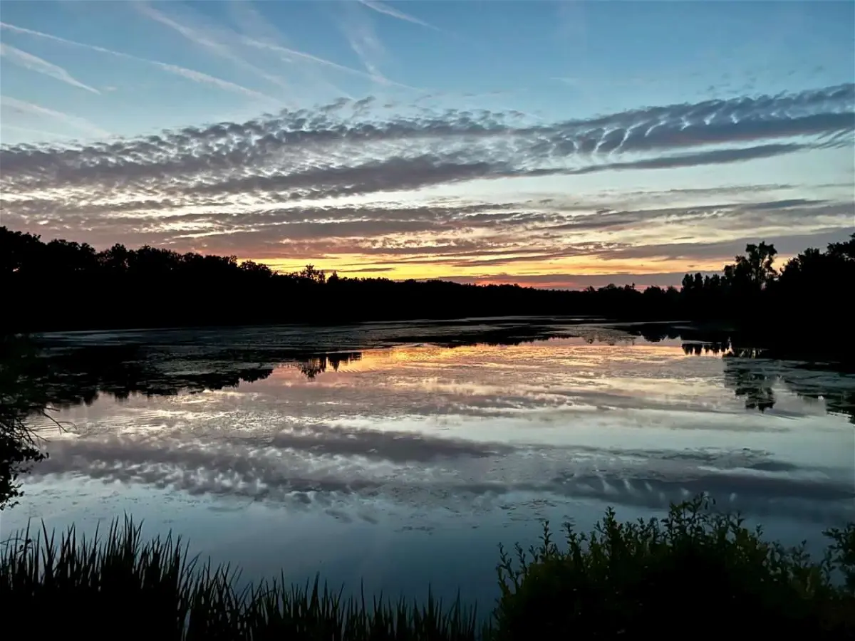 Achat terrainà LE VIGEANT