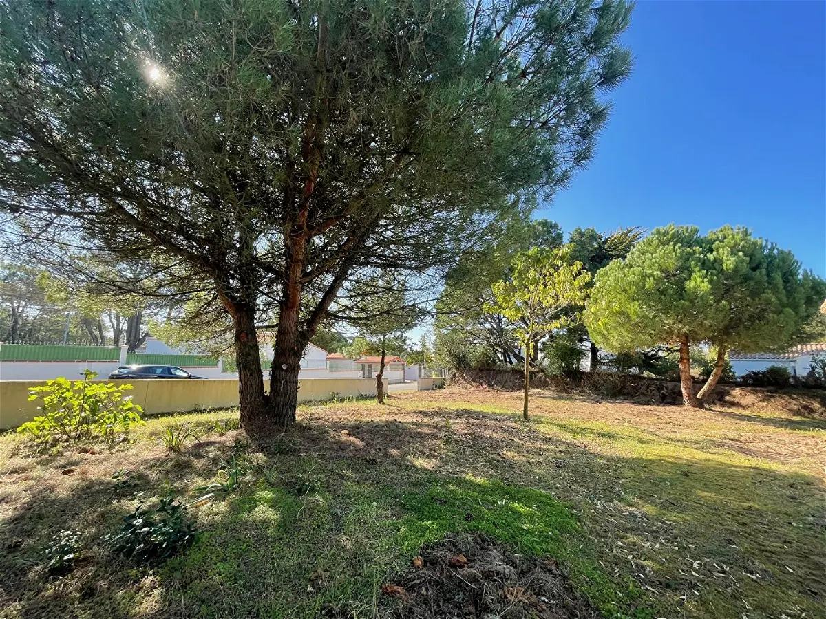 Achat terrainà SAINT HILAIRE DE RIEZ