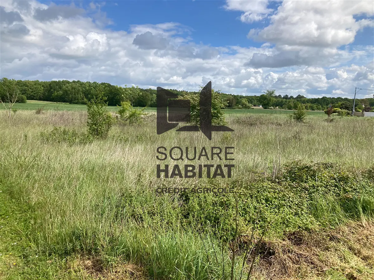 Achat terrainà CHINON