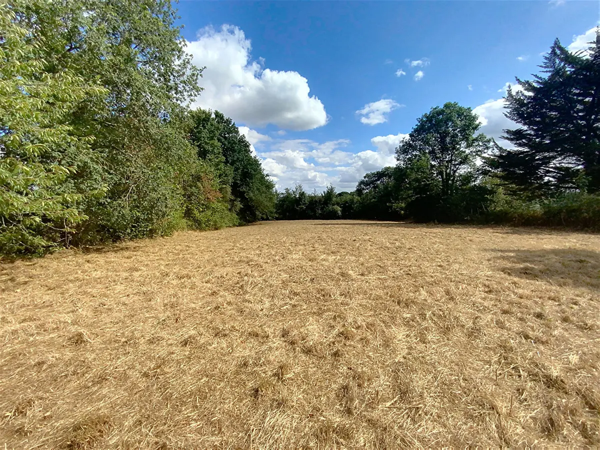 Achat terrainà BEIGNON