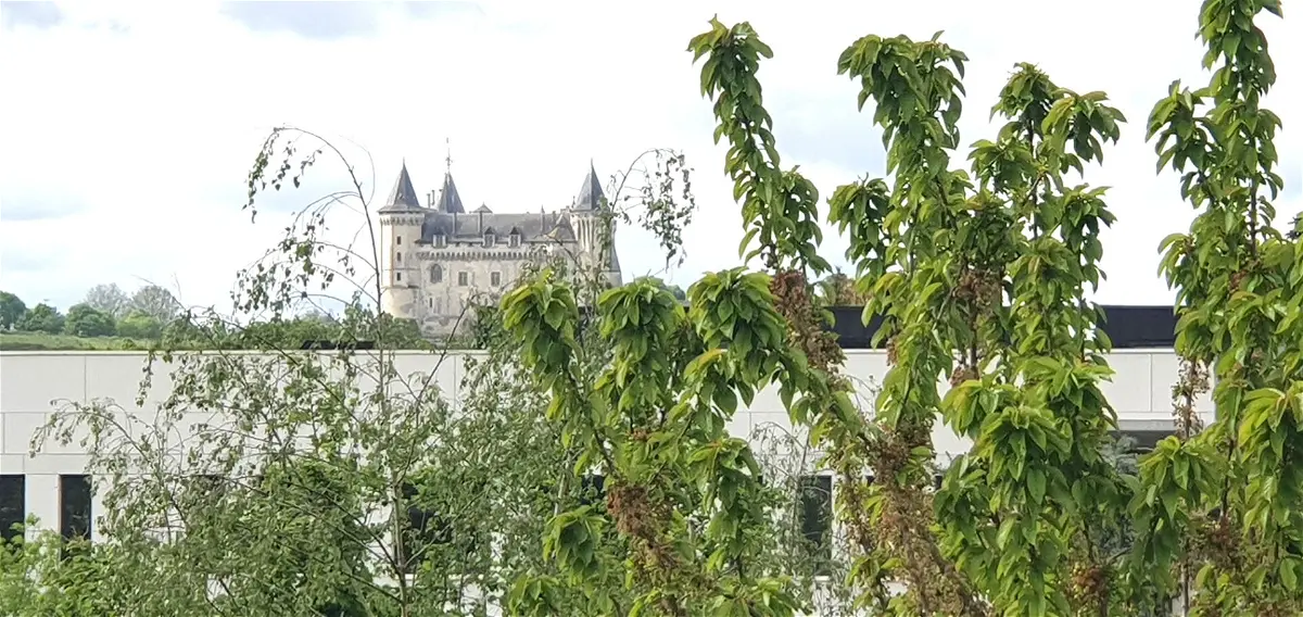 Achat maisonà SAUMUR