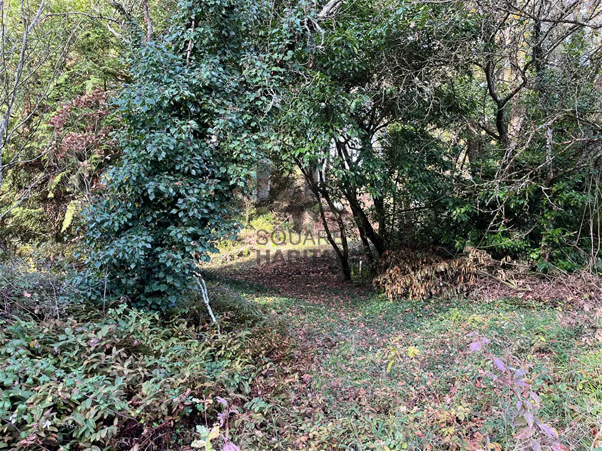 Achat terrainà ST EPAIN