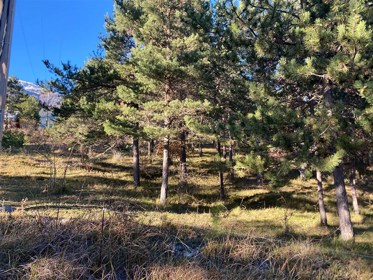 Achat terrainà EMBRUN