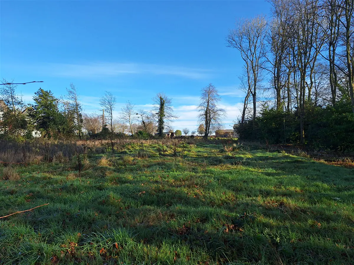 Achat terrainà LONGUEVILLE SUR SCIE
