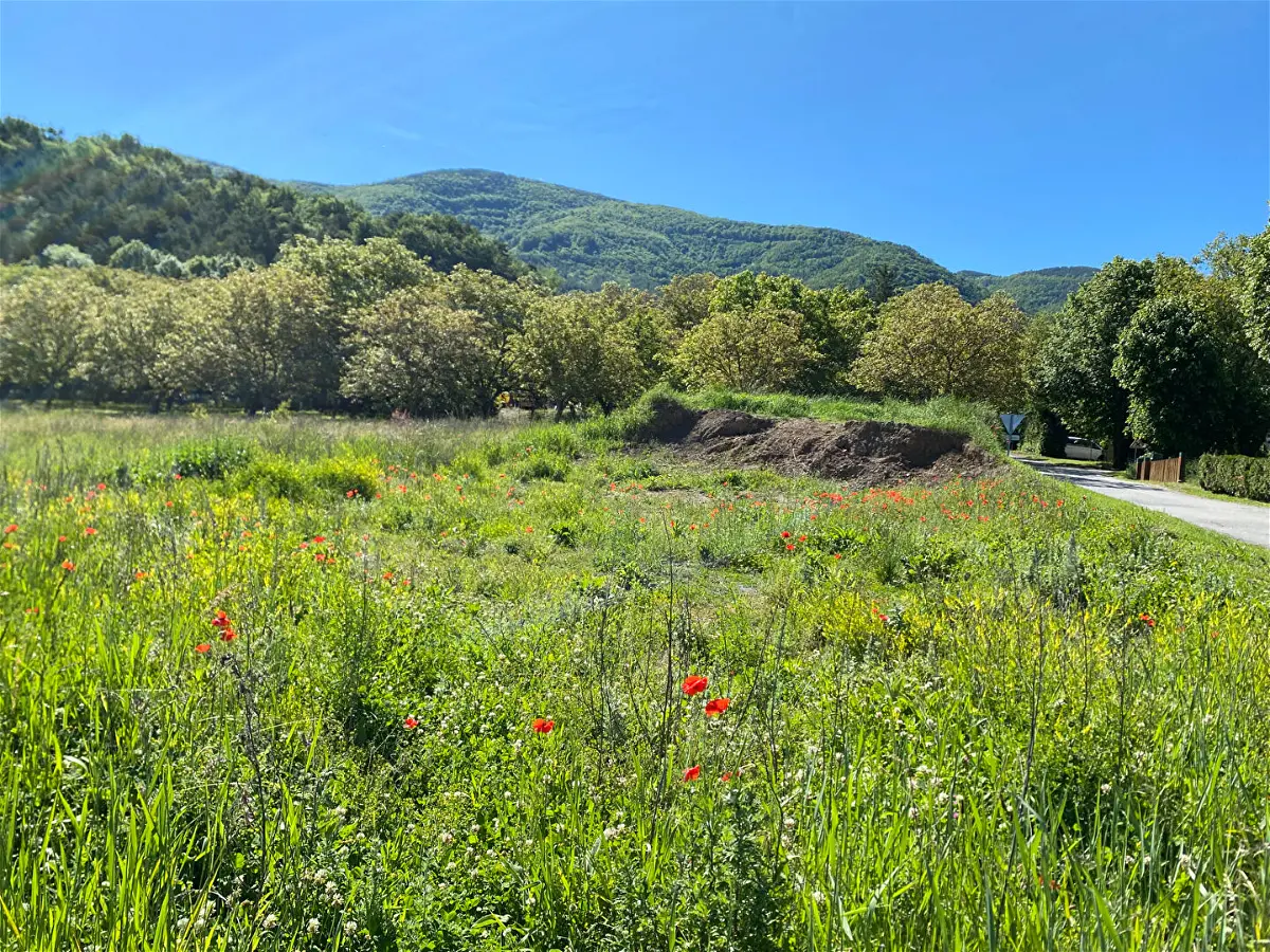 Achat terrainà TALLARD