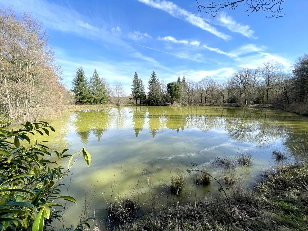 Achat terrainà DOMATS