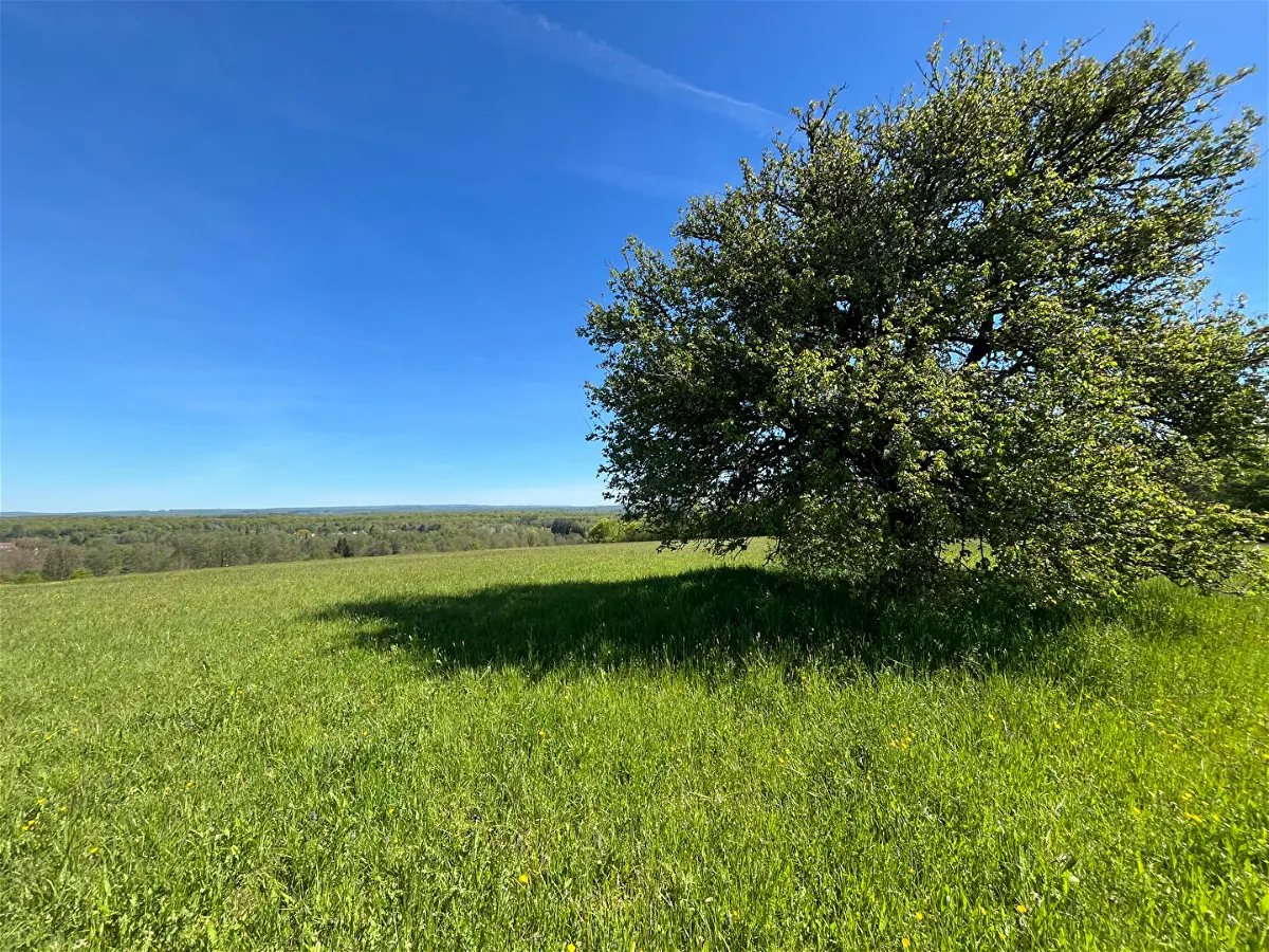 Achat maisonà QUERS