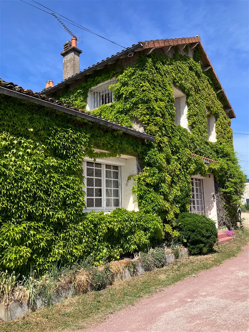 Achat maisonà VIVONNE