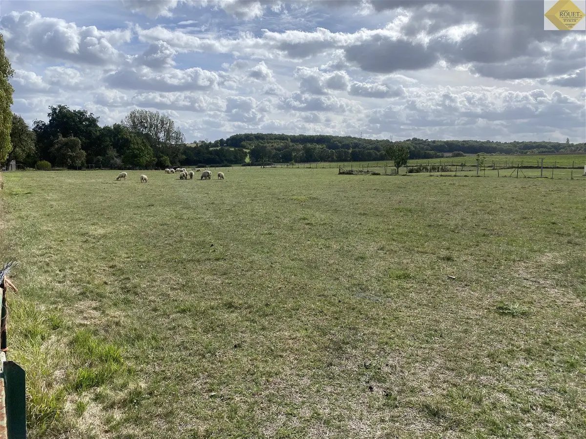 Achat terrainà COUSSAY LES BOIS