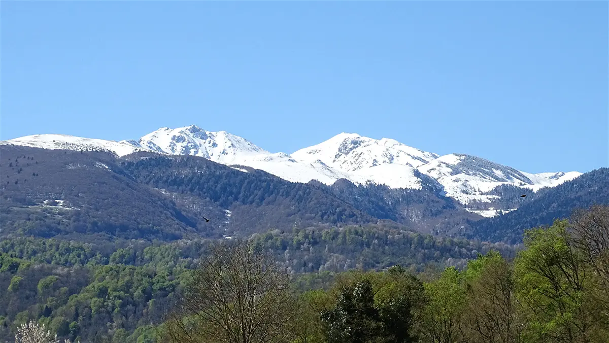 Achat maisonà LAVELANET