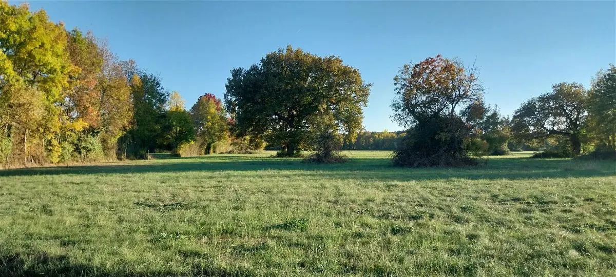 Achat terrainà SAINT MEDARD DE GUIZIERES