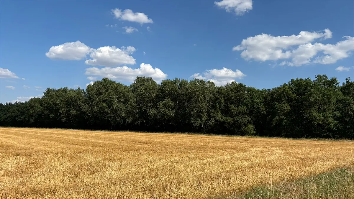 Achat terrainà TAUXIGNY SAINT BAULD