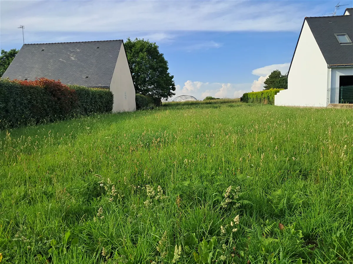 Achat terrainà SAINT LYPHARD