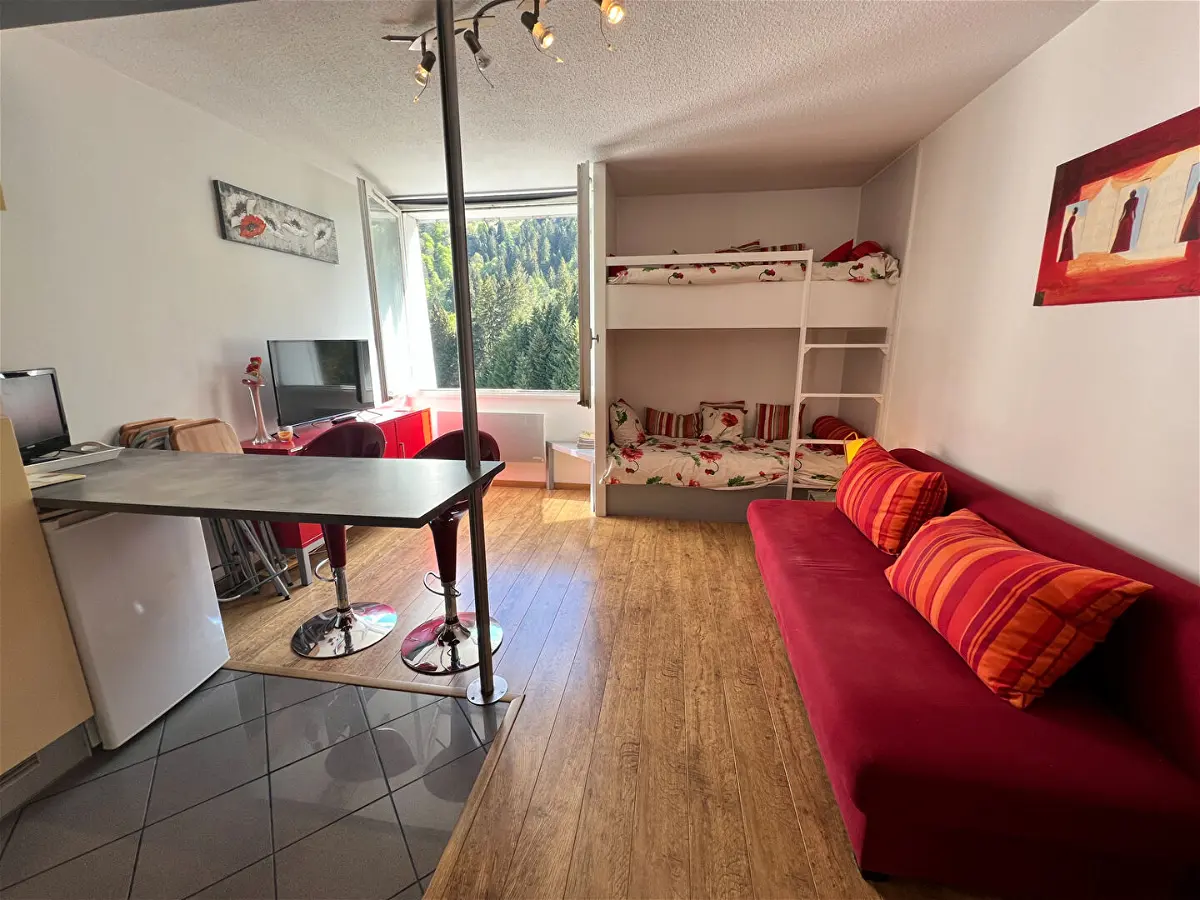 Achat appartementà GOURETTE