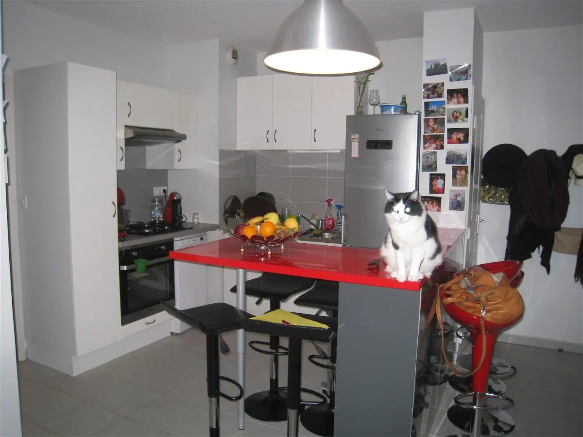appartementà Oullins
