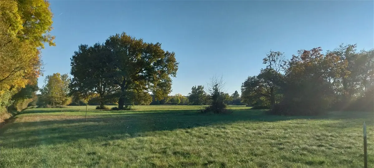 Achat terrainà SAINT MEDARD DE GUIZIERES