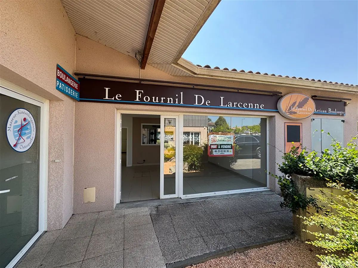 Achat local_commercialà SAINT PAUL SUR SAVE