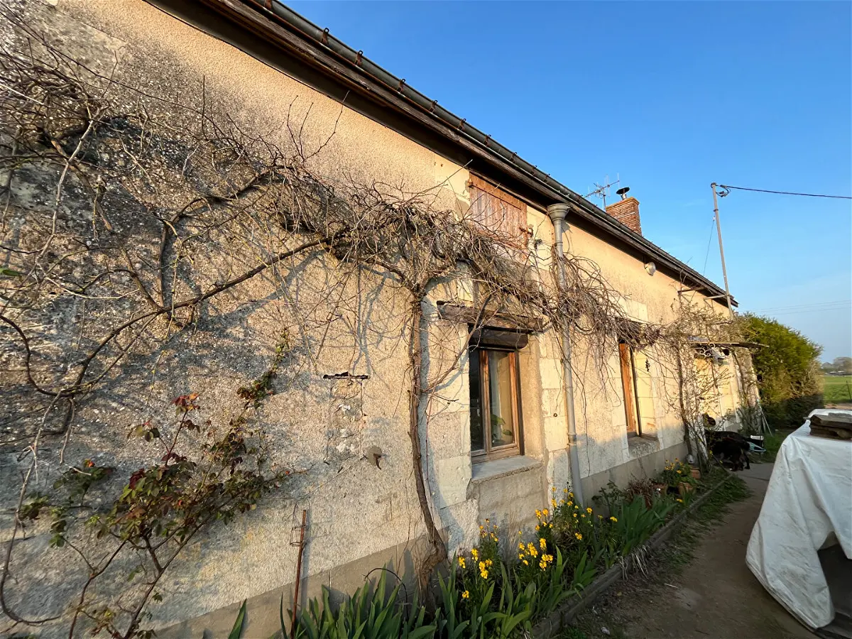 Achat maisonà CHANNAY SUR LATHAN