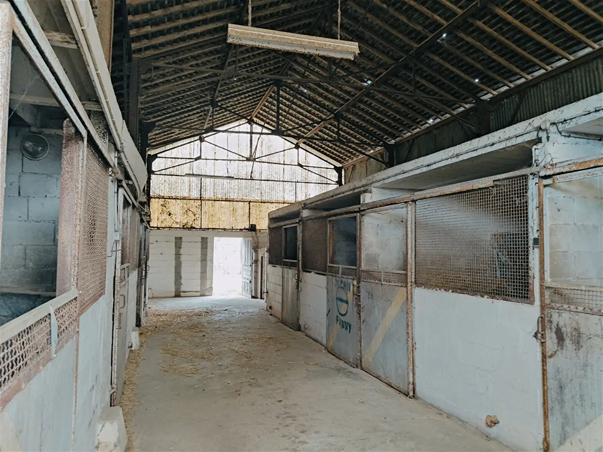 Achat maisonà CHEMILLÉ-EN-ANJOU