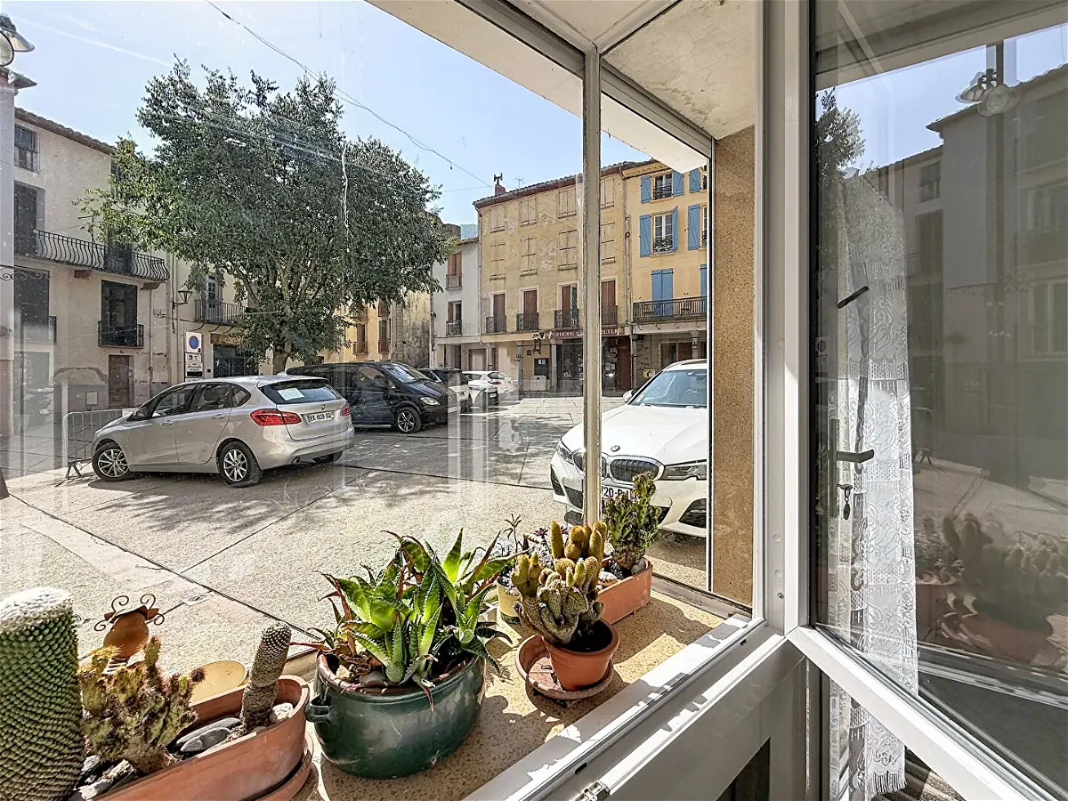 Achat appartementà ARLES SUR TECH