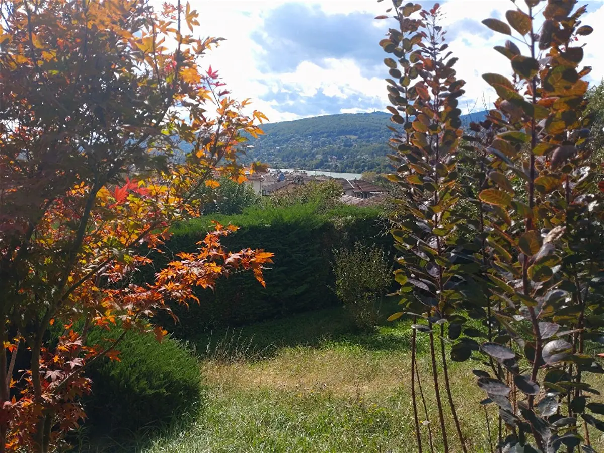 Achat maisonà NEUVILLE SUR SAONE