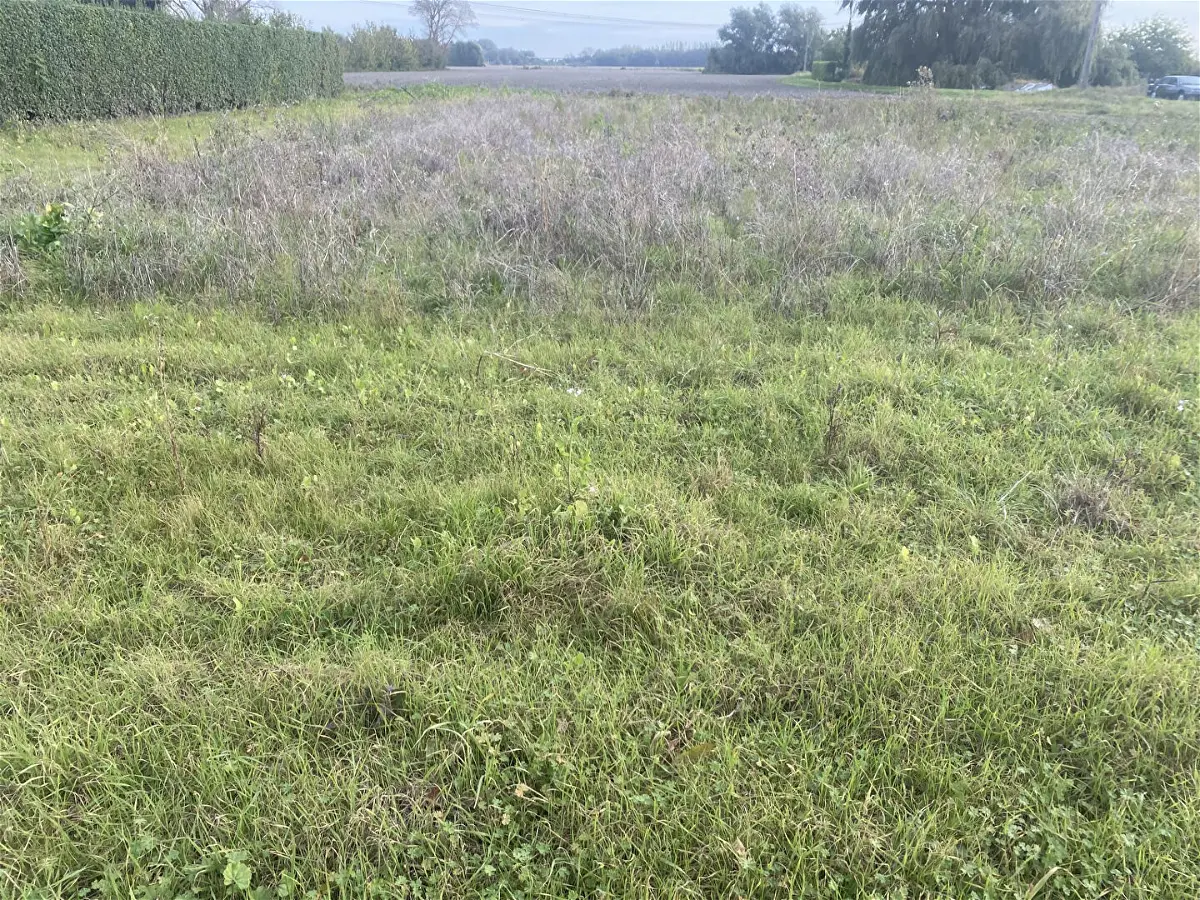 Achat terrainà GUEMPS