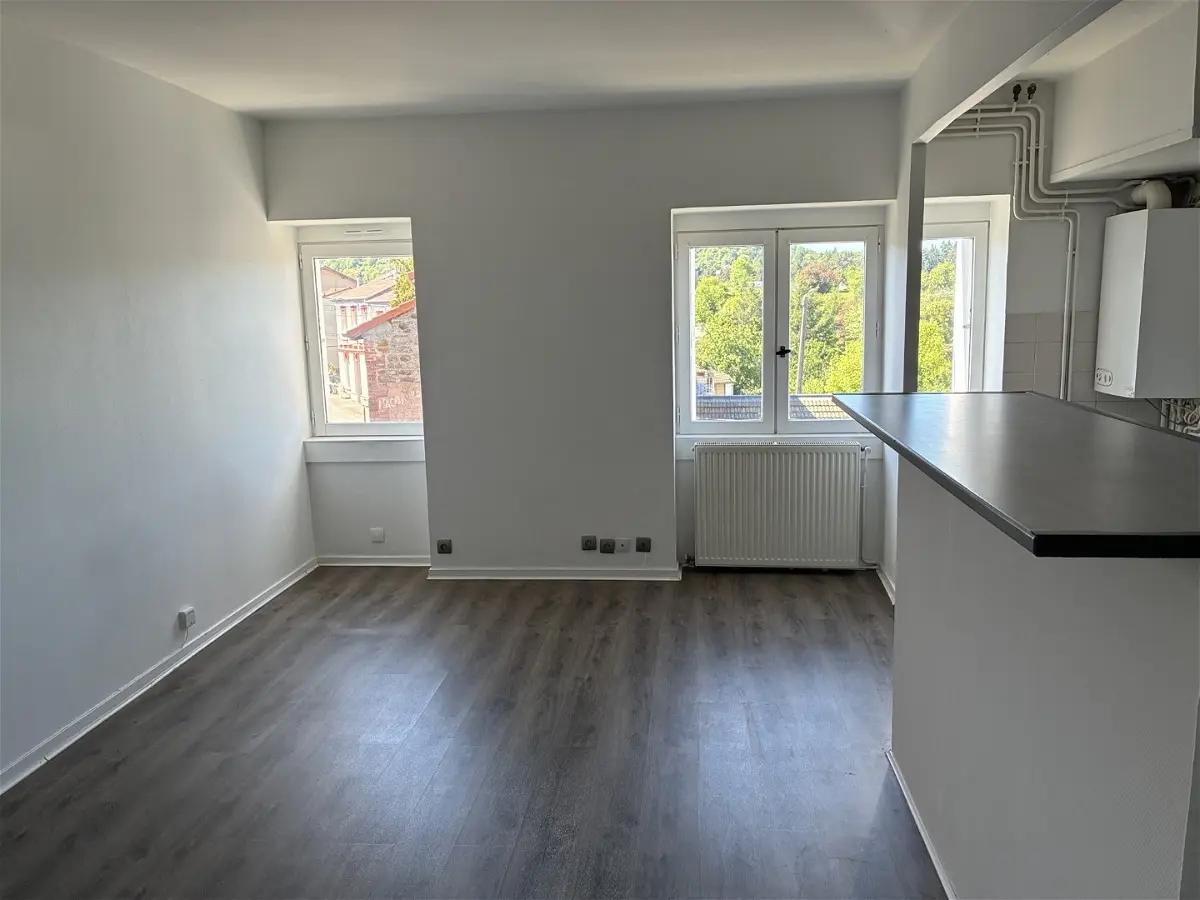 appartementà SAINT ETIENNE
