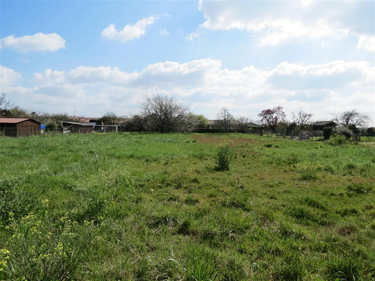 Achat terrainà CISSAC MEDOC