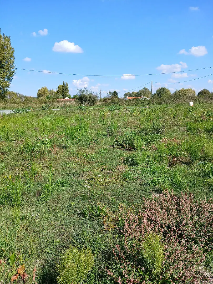Achat terrainà SAINT JEAN DE MONTS